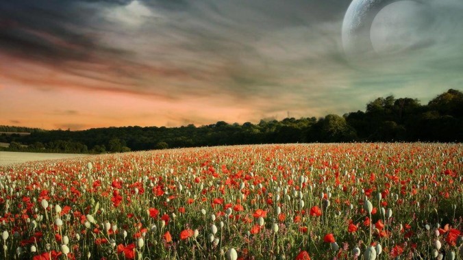 MySQL不香吗，为啥还要Elasticsearch？